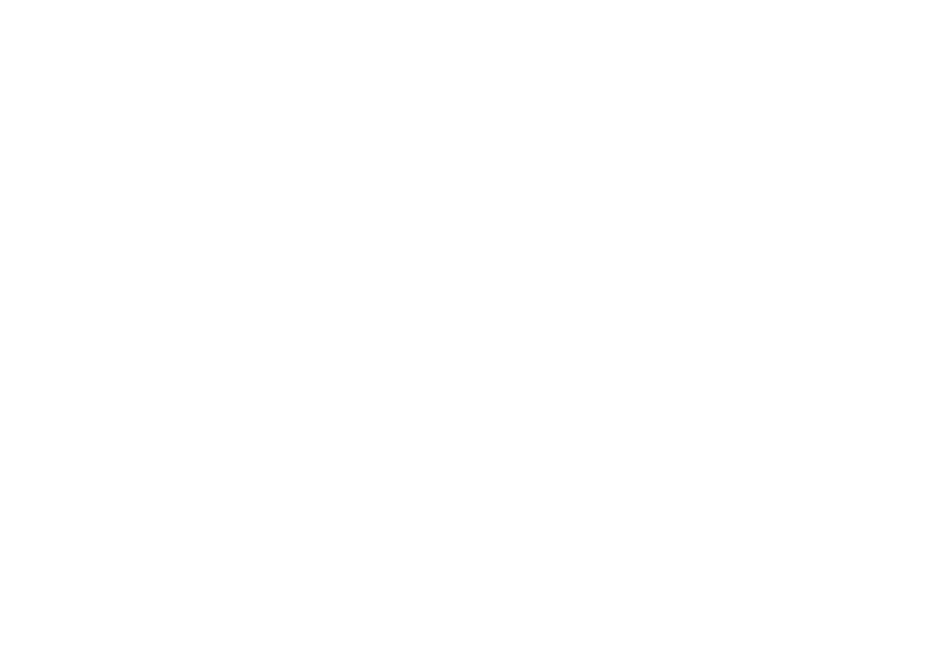 Leen Everaerts icoon wit